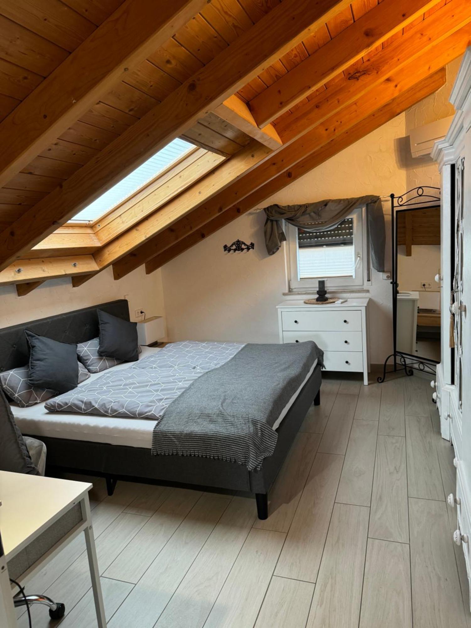 Spacy 3 Bedroom Plus Sleeping Couch Apartment Work&Travel Close To Heidelberg Dielheim 외부 사진