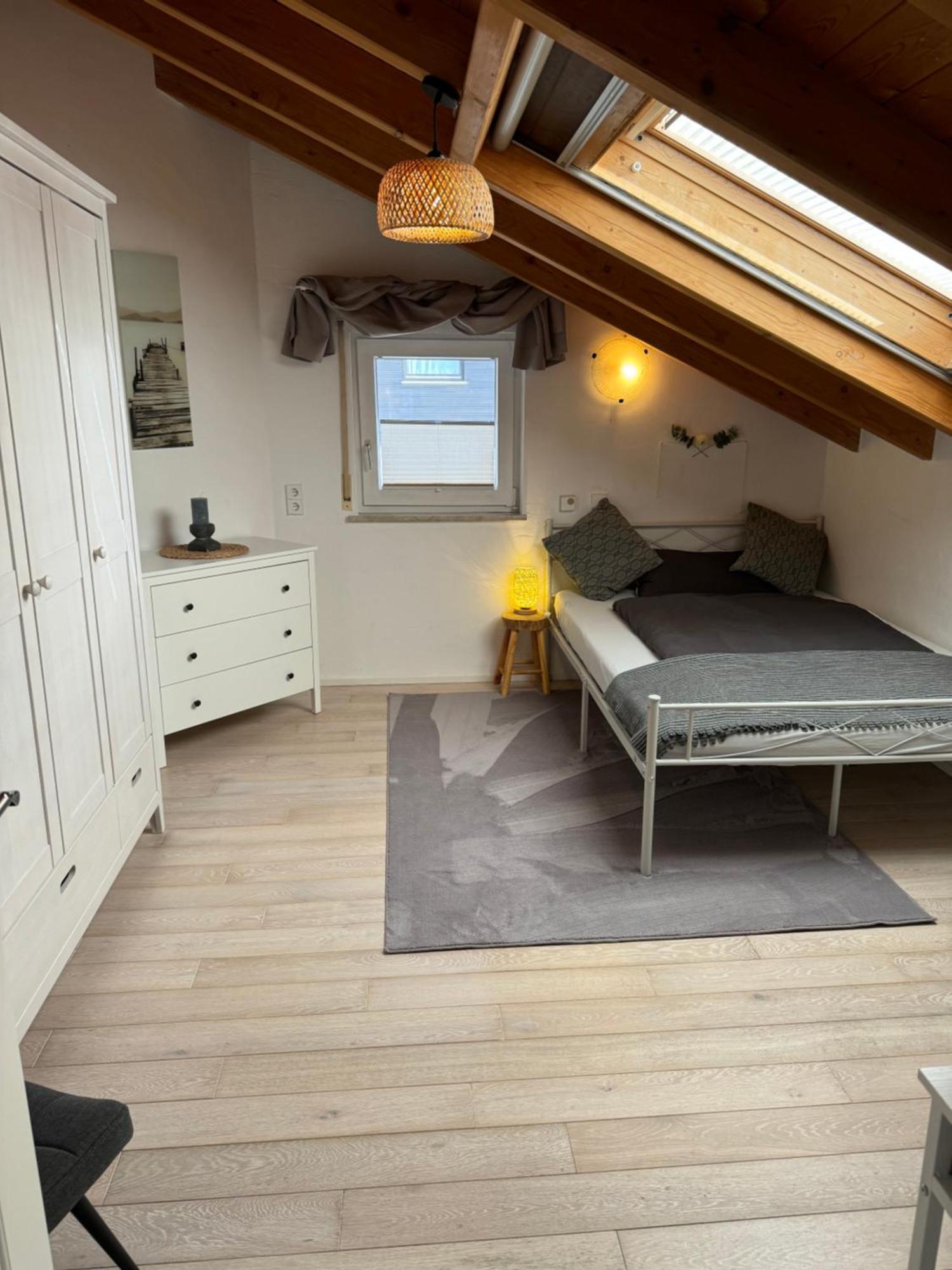 Spacy 3 Bedroom Plus Sleeping Couch Apartment Work&Travel Close To Heidelberg Dielheim 외부 사진